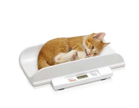 balance SOEHNLE 8310 pour animaux sur Toulon.